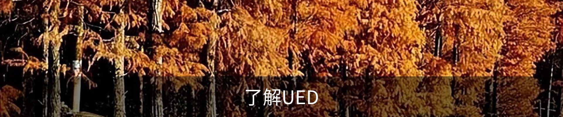 了解UED
